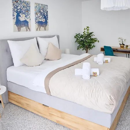 Niro I Design Penthouse Apartment, Dachterrasse 바인하임